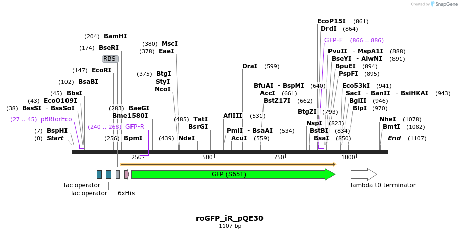 72286_map