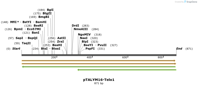 72288_map