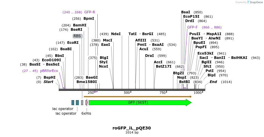 72291_map