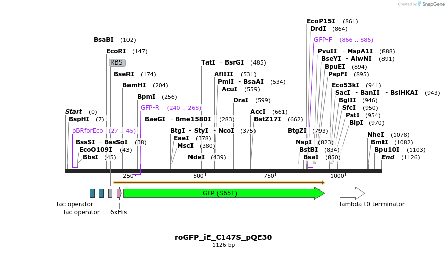72296_map