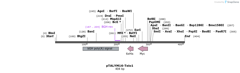 72299_map