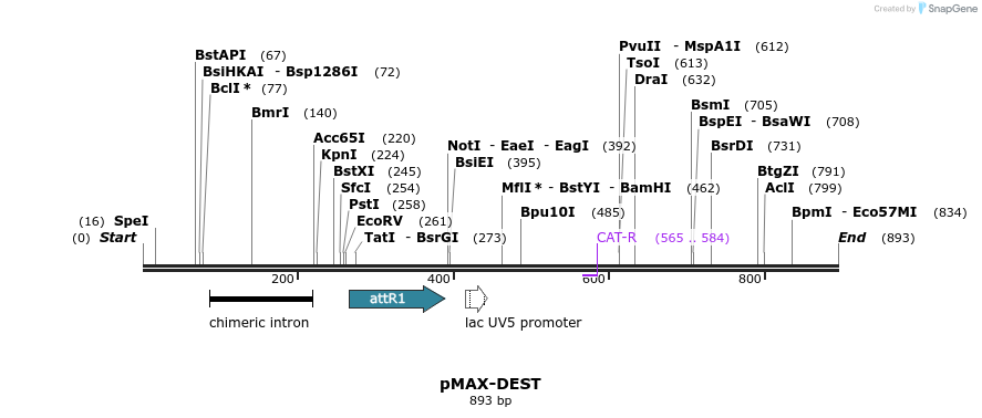 72300_map