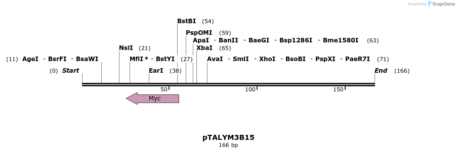 72311_map
