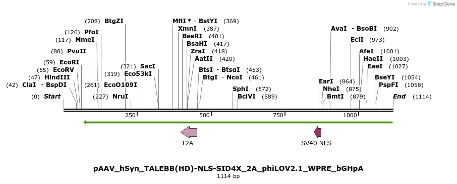 72321_map