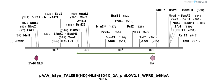 72322_map