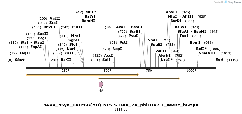 72323_map
