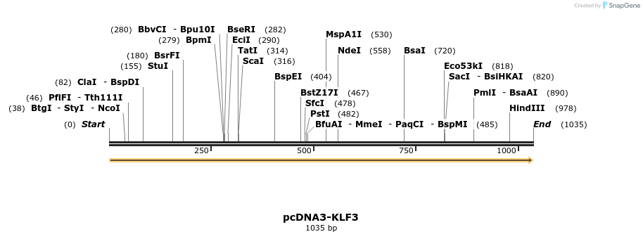 72326_map