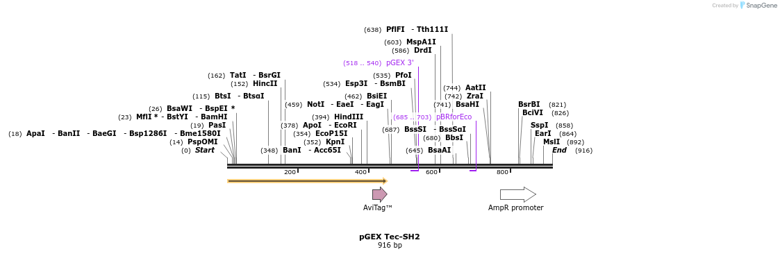 72328_map