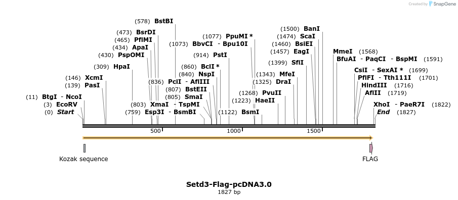 72334_map