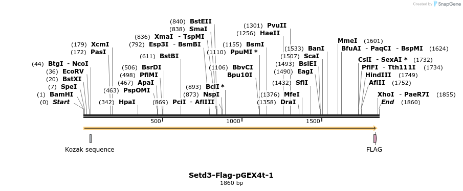 72335_map
