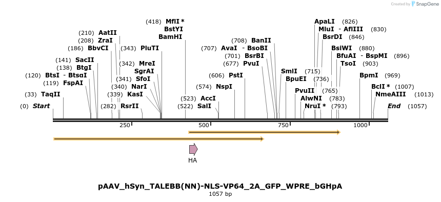 72343_map