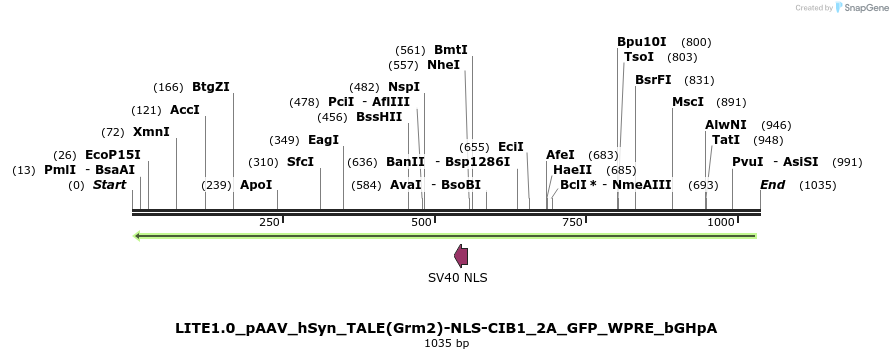 72350_map