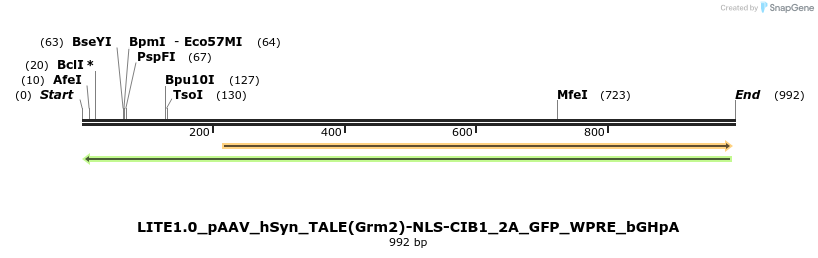 72351_map