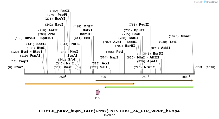 72353_map