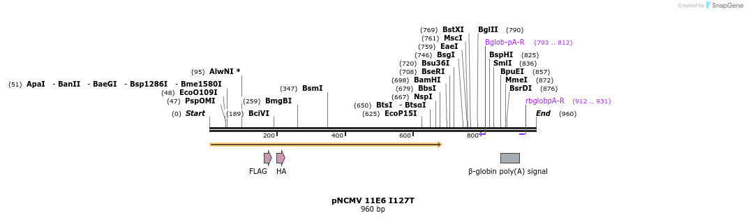 72354_map
