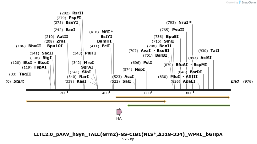 72360_map