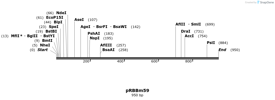 72369_map