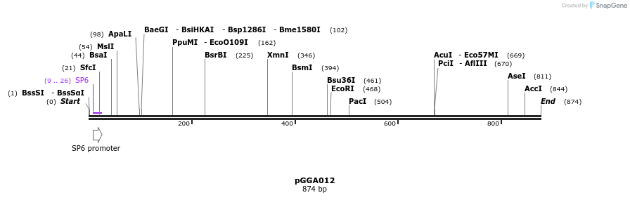 72374_map