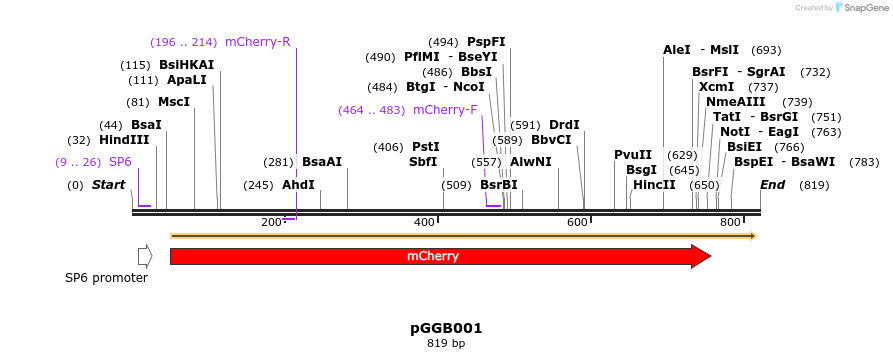 72375_map
