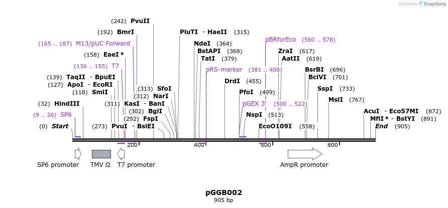 72376_map