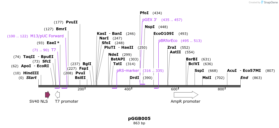 72378_map