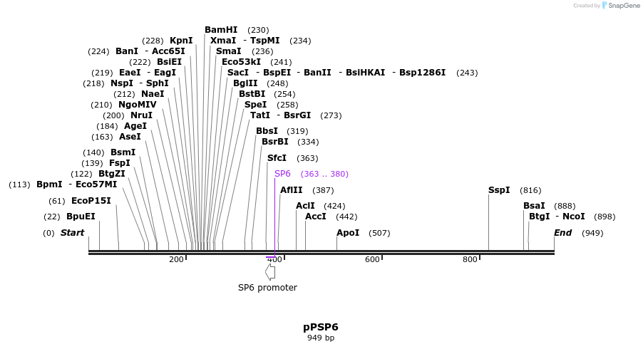 72379_map