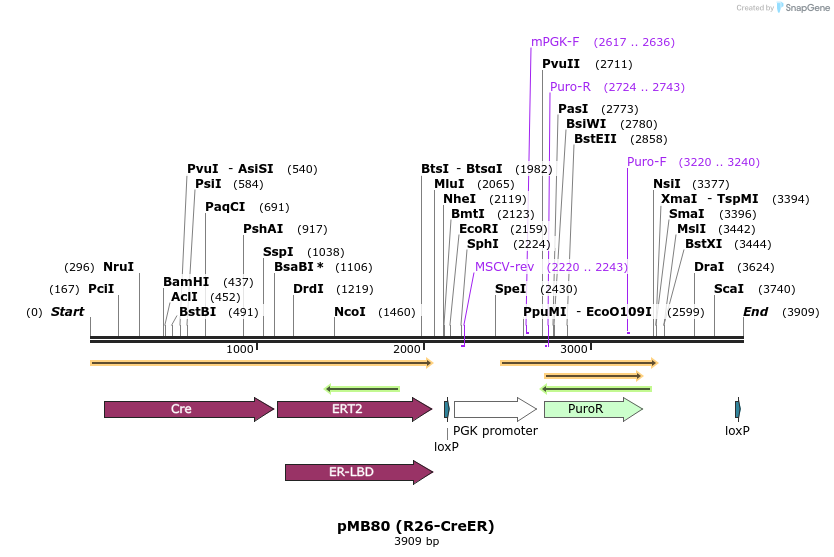 7238_map