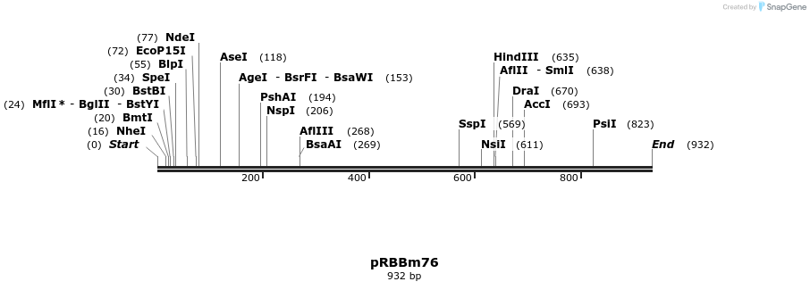 72382_map