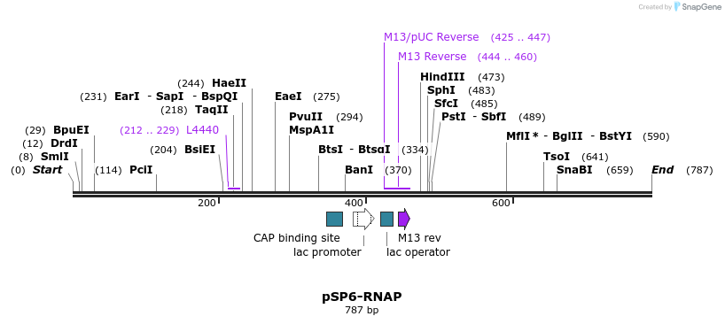 72388_map