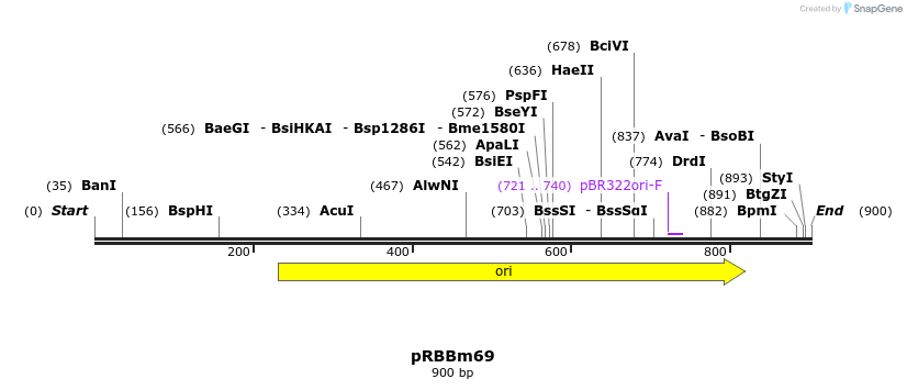 72389_map