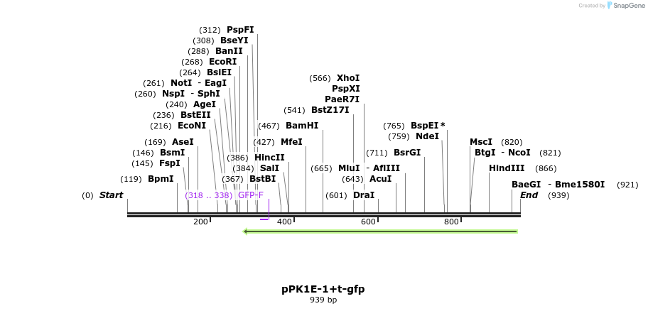 72393_map