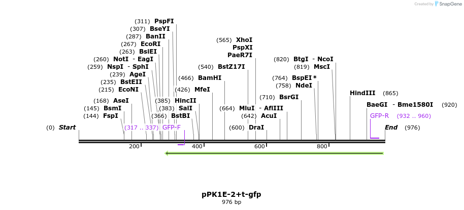 72394_map