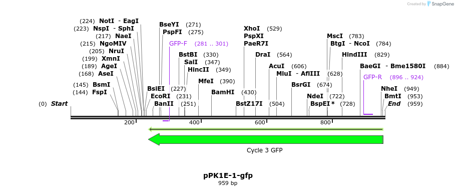 72396_map