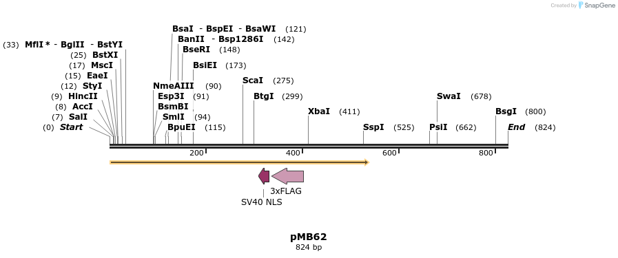 72402_map
