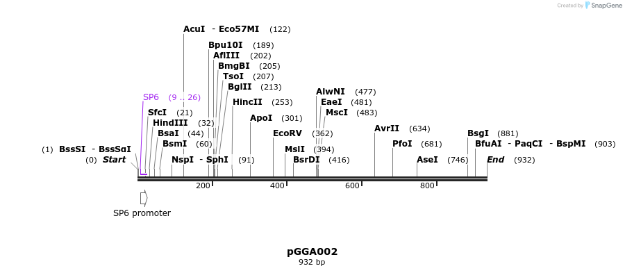 72403_map