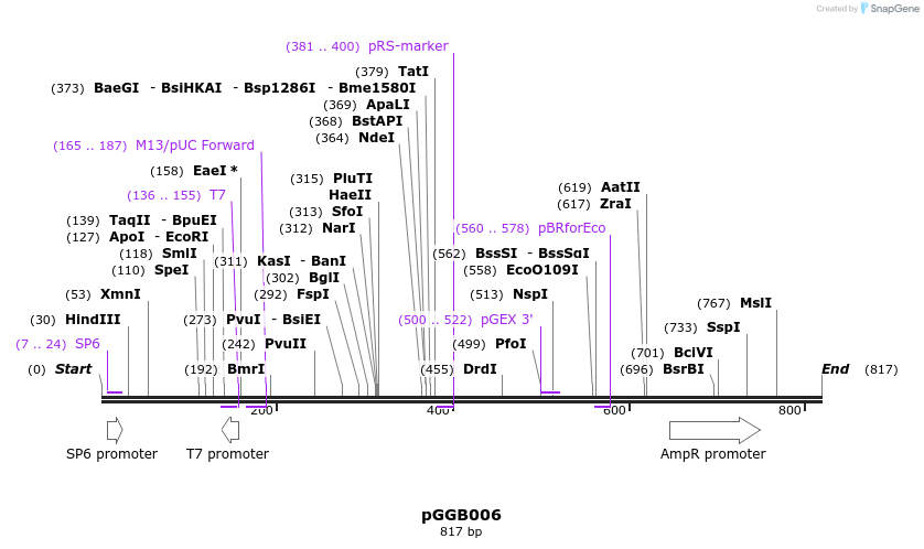 72404_map