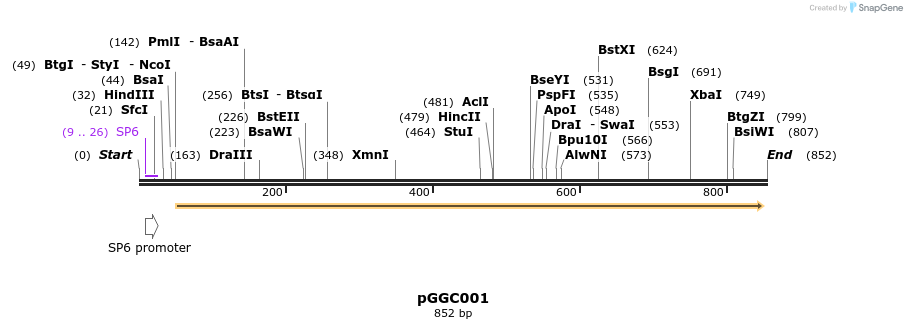 72406_map