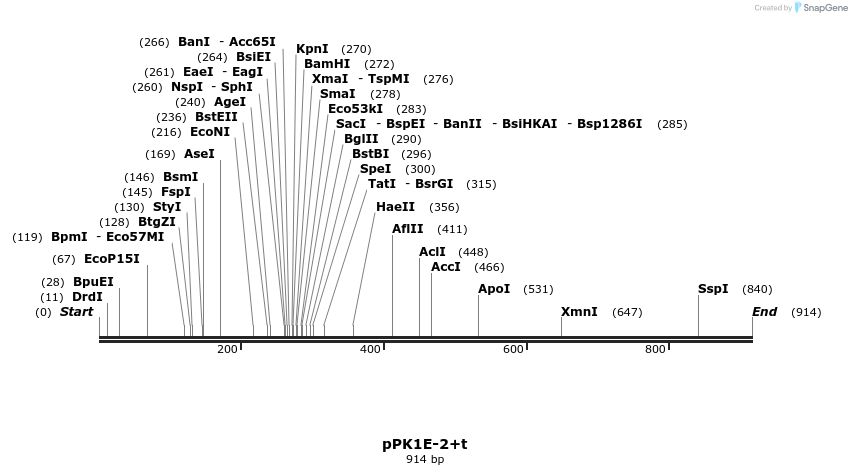 72410_map