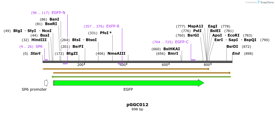 72411_map