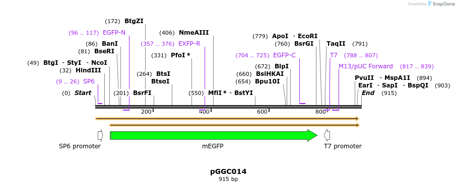 72413_map