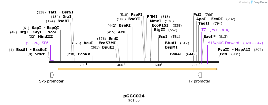 72416_map