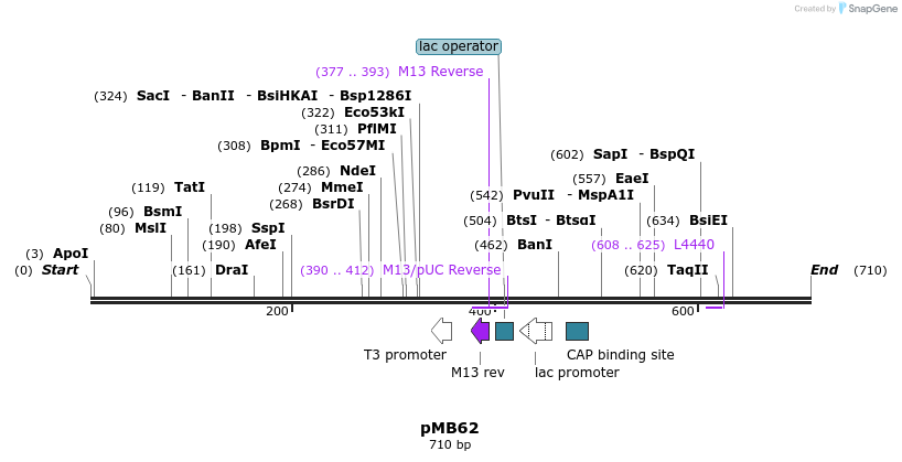 72417_map