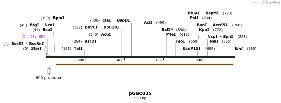 72418_map