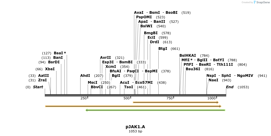 72421_map