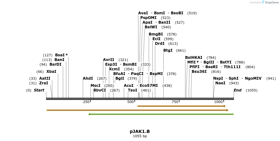 72423_map