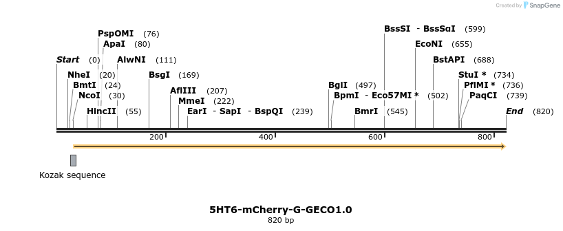 72424_map