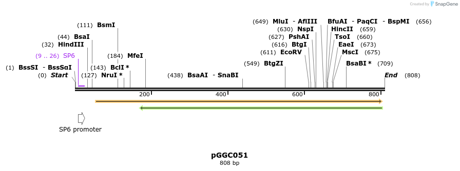 72425_map