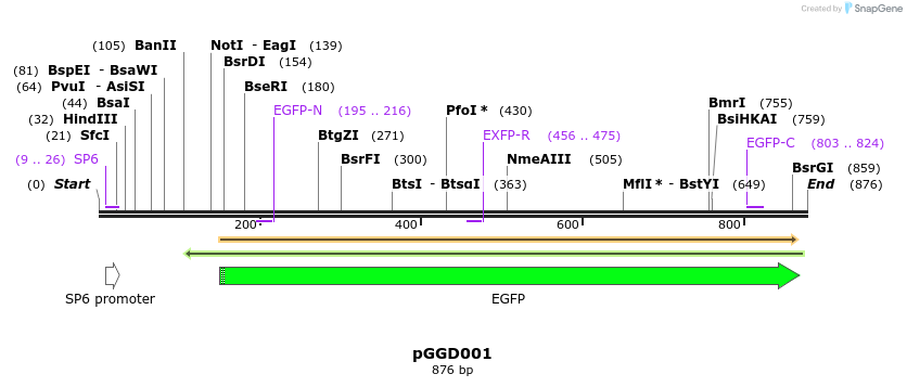 72427_map