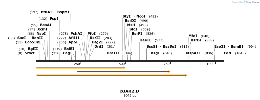 72428_map
