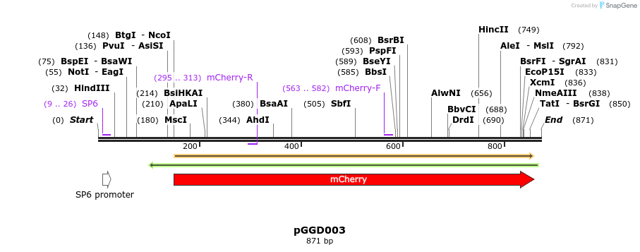 72430_map